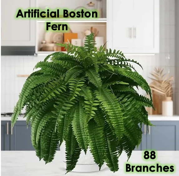 The EverFresh Boston Fern - Lush Beauty That Lasts Forever + 50% OFF - Image 12