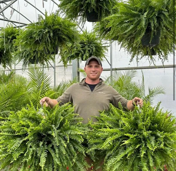 The EverFresh Boston Fern - Lush Beauty That Lasts Forever + 50% OFF - Image 2