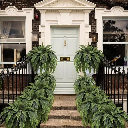 The EverFresh Boston Fern - Lush Beauty That Lasts Forever + 50% OFF - Image 4