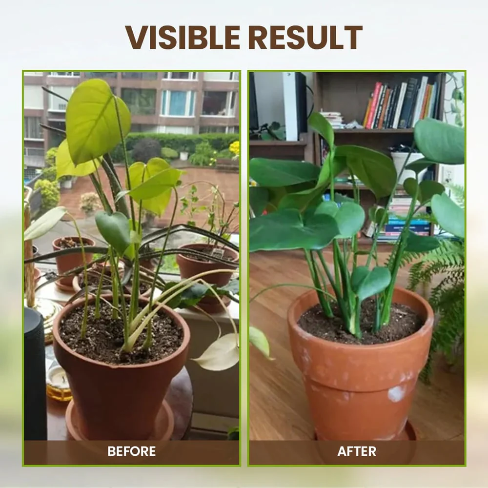 TerraThrive - Unlock Your Soil, Unleash Your Garden - 50% OFF - Image 6